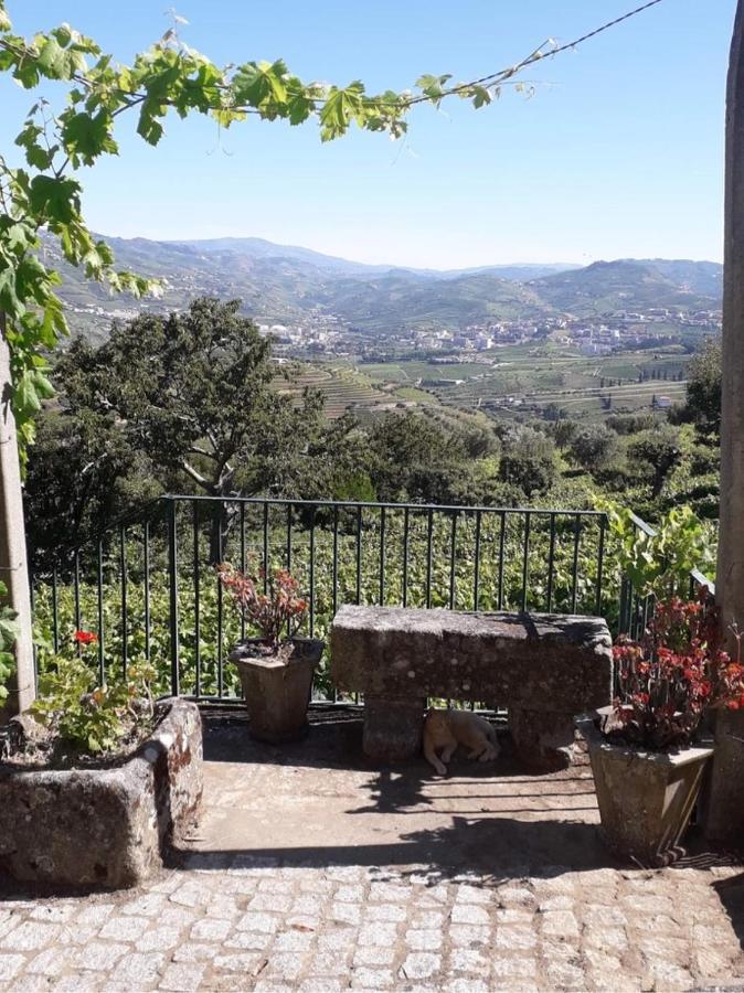 Quinta Casa Do Quintal Vila Lamego Exterior foto