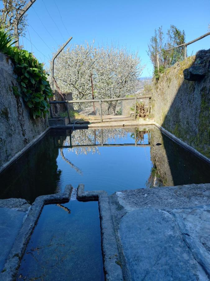 Quinta Casa Do Quintal Vila Lamego Exterior foto