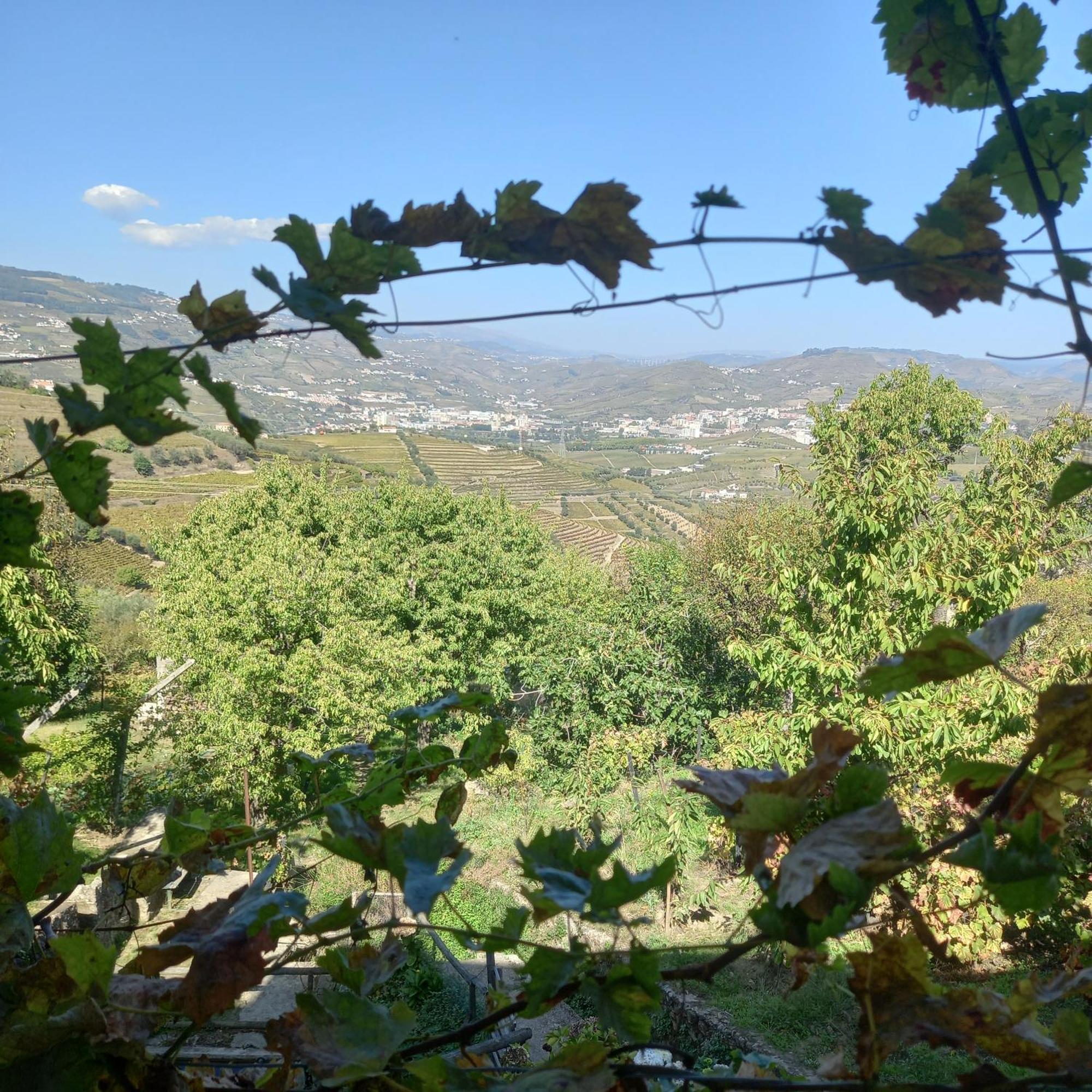 Quinta Casa Do Quintal Vila Lamego Quarto foto
